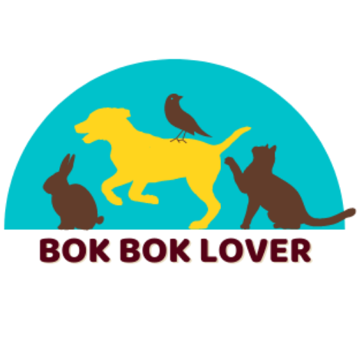 สัตว์เลี้ยง