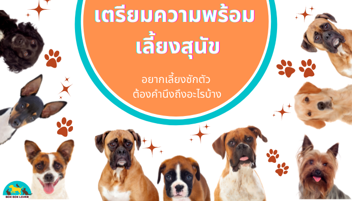 สัตว์เลี้ยง